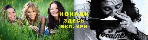 ALPHA PVP Новодвинск