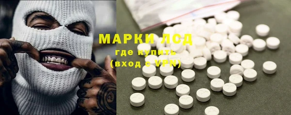 ALPHA PVP Ельня