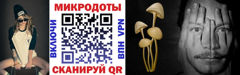 Псилоцибиновые грибы Magic Shrooms  Малаховка 